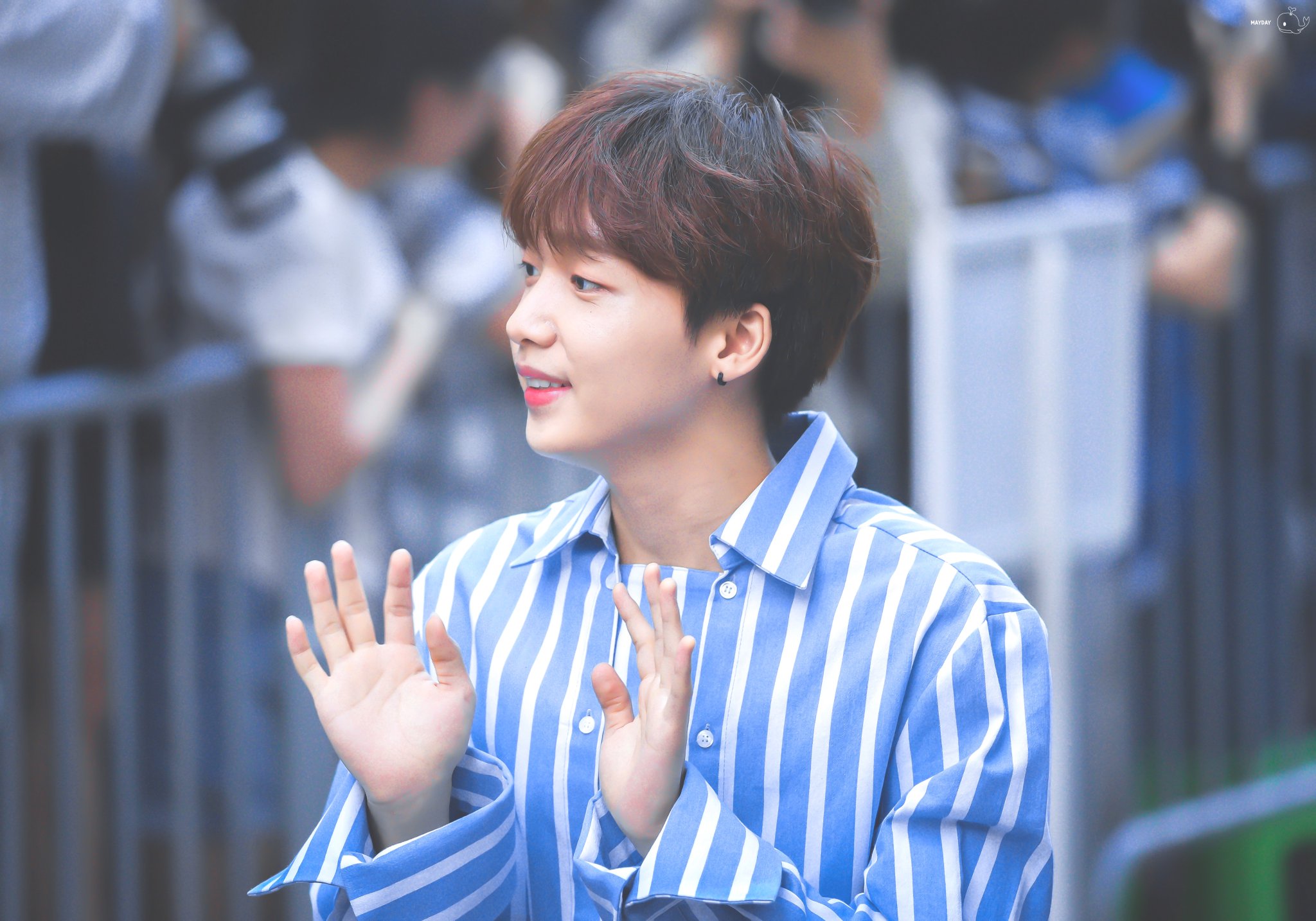 사람들 얘 코 예쁜거 잘 모름 | 인스티즈