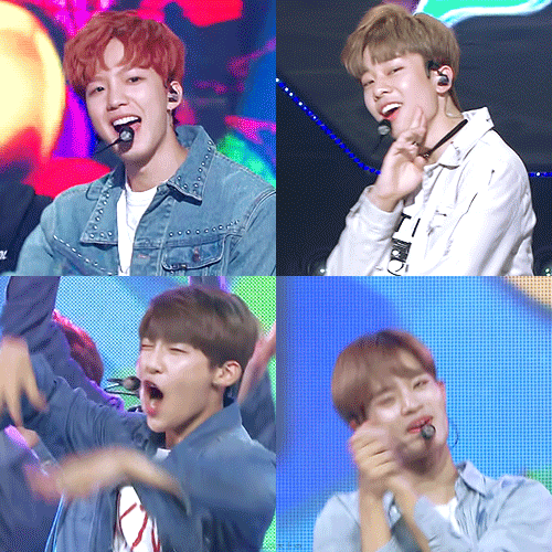 김동현 피셜로 브랜뉴 안친하다 했음 얘네 ㄹㄹ 안친한거 맞아 | 인스티즈