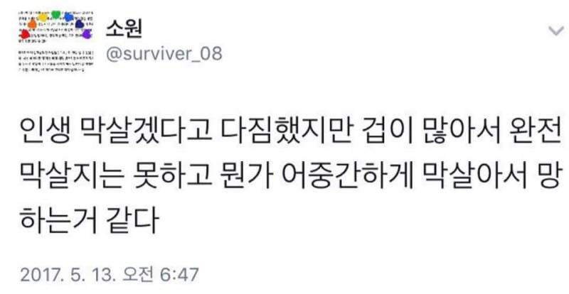 내가 저장하려고 올리는 짤 하 폰에 있는 짤들이 다 날라갔다 | 인스티즈