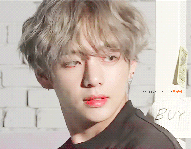 ?초록글보고 소개하는 냉미남상 댕댕이들 3명 구경하고 가? | 인스티즈