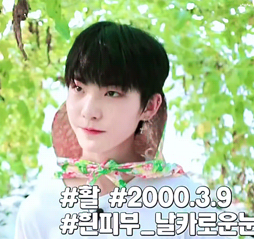 더보이즈에 무용 인간 잇는거 알음? | 인스티즈