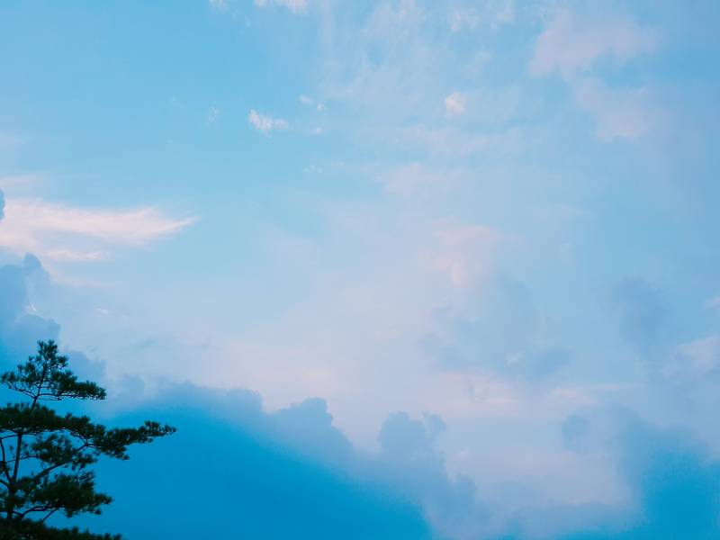 다들 파랑파랑한 사진 찍을 때는 푸디 이 필터 사용하기!! | 인스티즈