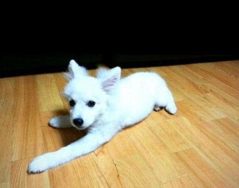 "어, 여자 주인이다." | 인스티즈