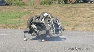 λ ϶   ־ ©.gif | νƼ