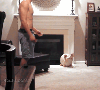 λ ϶   ־ ©.gif | νƼ