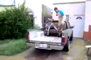 λ ϶   ־ ©.gif | νƼ